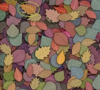 تست بینایی13