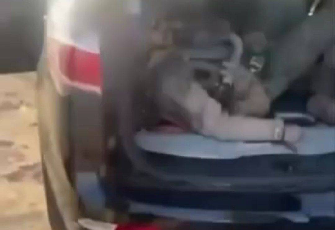 خلبان آمریکایی