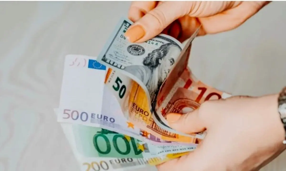 رازهای پنهان ارز مسافرتی فاش شد | دریافت ۵۰۰ یورو فقط با یک کد!