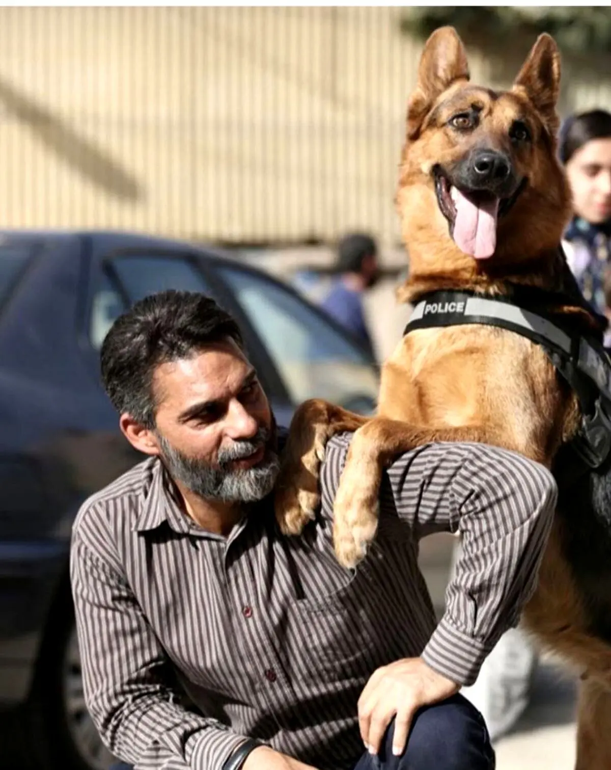 سگ بازیگر فیلم متری شیش‌ونیم خبرساز شد | ماجرای نجات یک زن از دست زورگیر مسلح 