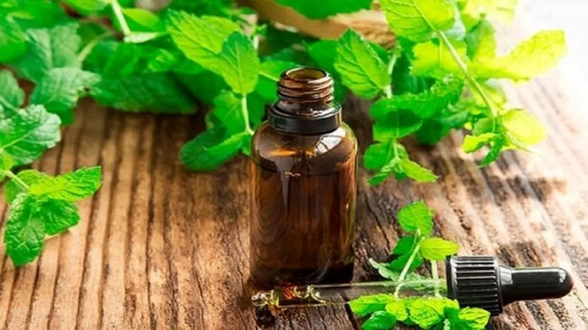 درمان سردرد و میگرن با این دو روغن معجزه‌آسا