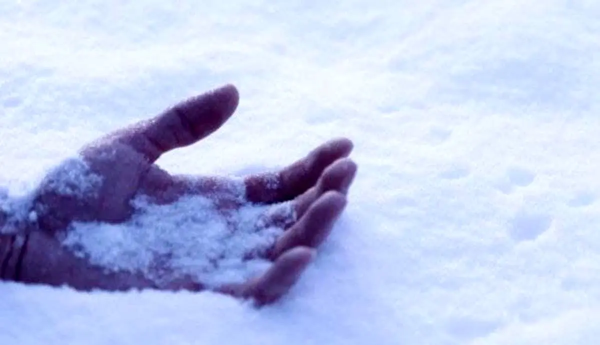 ماجرای وحشتناک یخ زدن دو جوان در جنگل‌