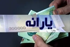 دولت ماهی ۸ میلیون یارانه می‌دهد؟ | رقم جنجالی یارانه بنزین اعلام شد