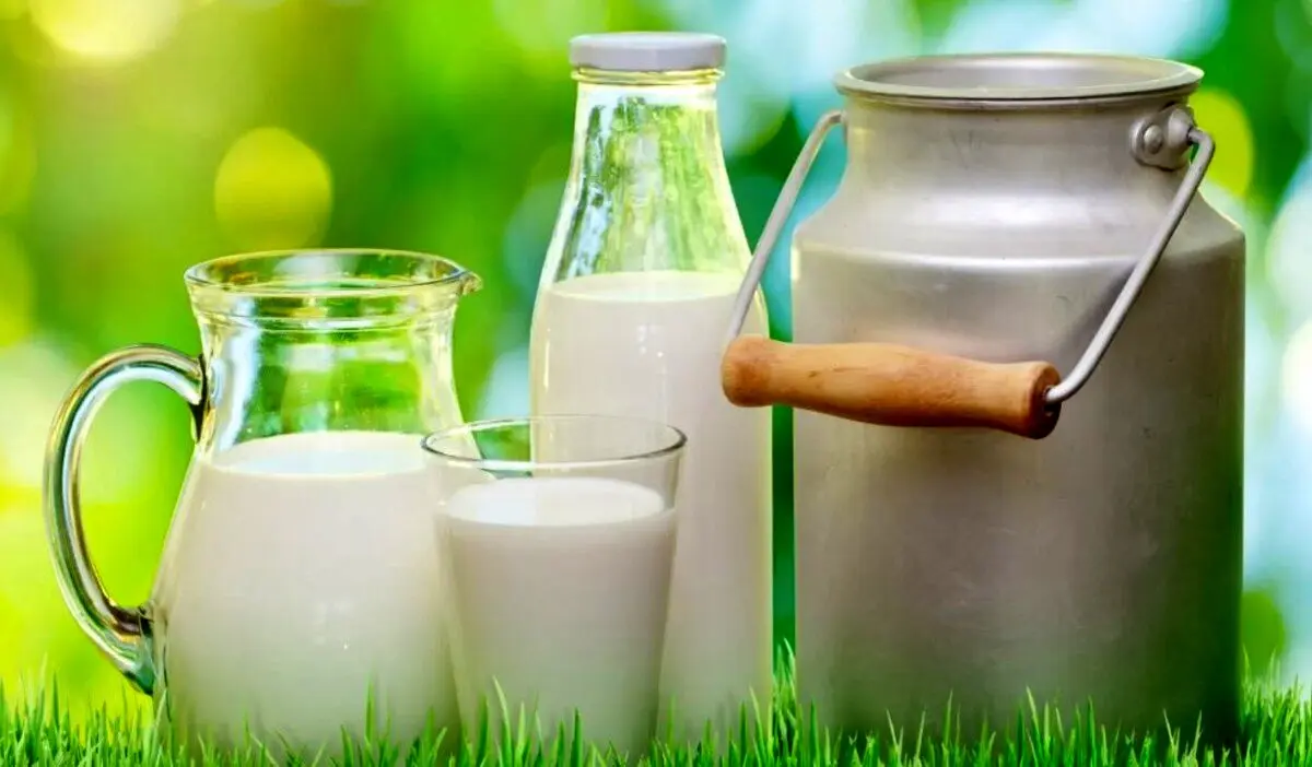 کاهش فوری قیمت لبنیات در راه است ! | جزئیات تصمیم جدید دولت 