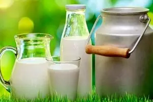 کاهش فوری قیمت لبنیات در راه است ! | جزئیات تصمیم جدید دولت 