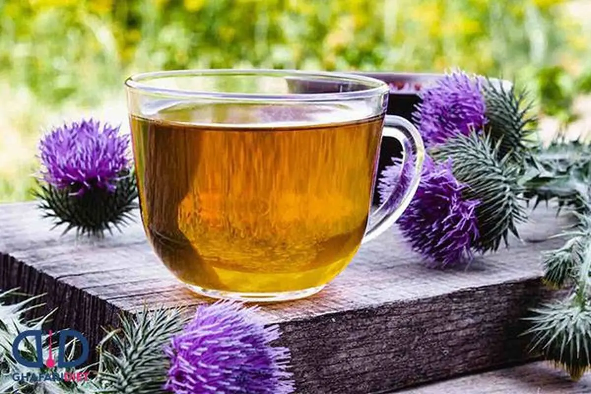 درمان کبد چرب با گیاهان دارویی با اثر گذاری فوق العاده بالا