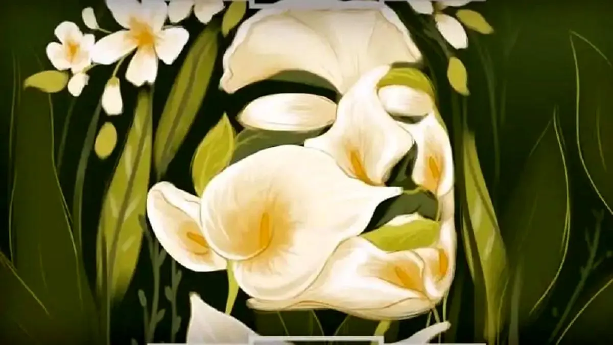 تست شخصیت شناسی : با یک نگاه شخصیت خود را بشناسید !