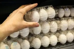 تخم‌مرغ در آستانه شوک قیمتی بی سابقه | تخم‌مرغ ۵۰۰ هزار تومانی در راه است ؟