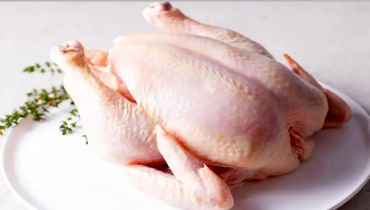 تصمیم جنجالی دولت با خیز دوباره قیمت مرغ | مرغ گران‌تر می‌شود یا ارزان‌تر؟