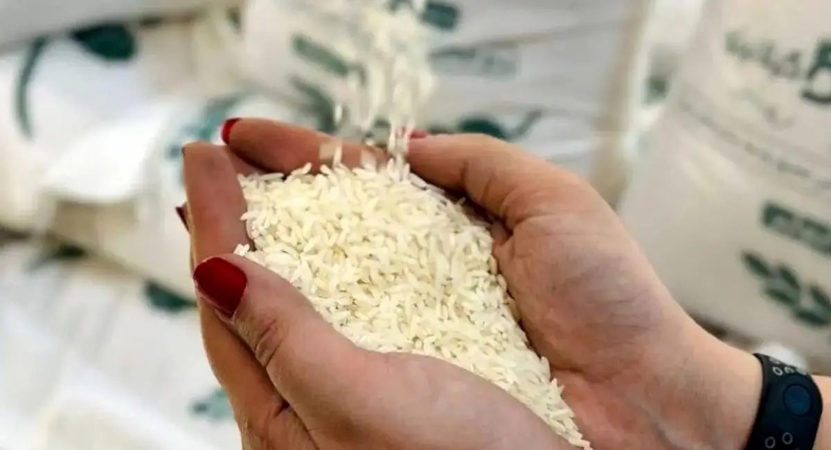 قیمت برنج ایرانی در بازار امروز ۱۵ مهر ۱۴۰۴ | قیمت برنج هاشمی رکورد زد !