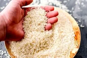 افزایش شدید قیمت برنج در اسفند | برنج تا مرز ۶۰۰ هزار تومان رسید