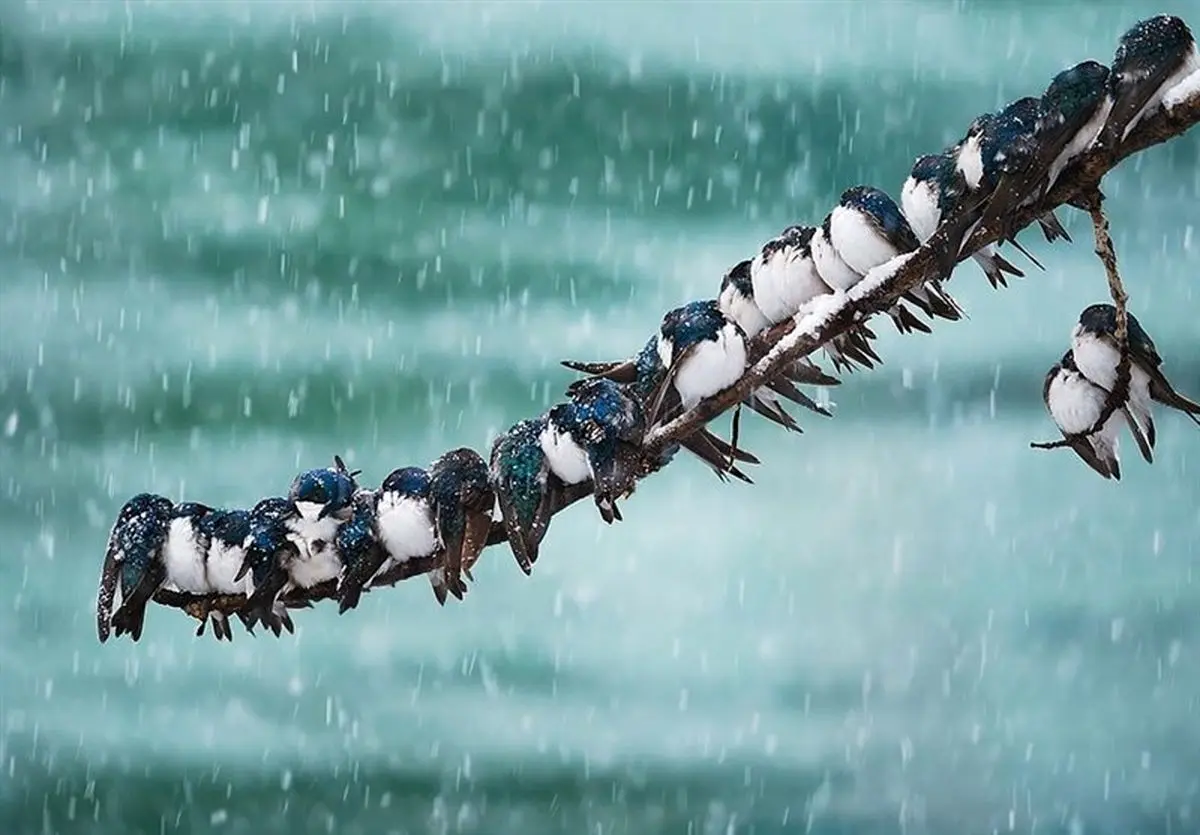 هواشناسی ایران شنبه ۱۹ مهر ۱۴۰۴ | بارش برف پاییزی در برخی استان‌ها