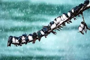 نفوذ هوای سرد قطبی به ایران | خبرخوش برای تهرانی ها