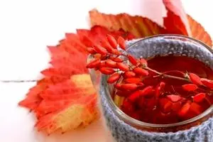 یک دنیا خاصیت در یک لیوان آب زرشک