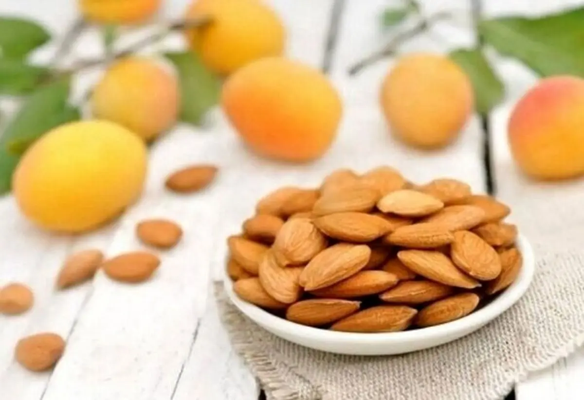 خواص بی نظیر هسته زردآلو