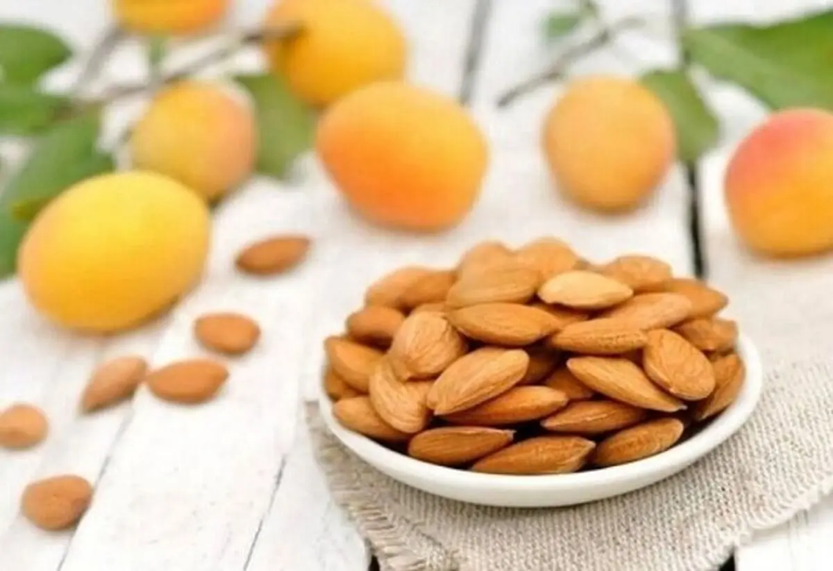 خواص بی نظیر هسته زردآلو