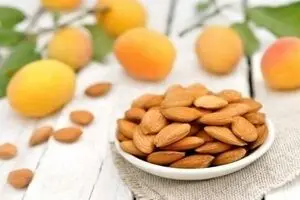 خواص بی نظیر هسته زردآلو