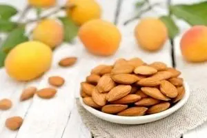 خواص بی نظیر هسته زردآلو