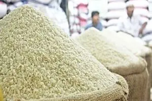 قیمت جدید برنج هندی و پاکستانی امروز ۲۰ بهمن | کیسه ۱۰ کیلویی برنج هندی چند ؟ + جدول