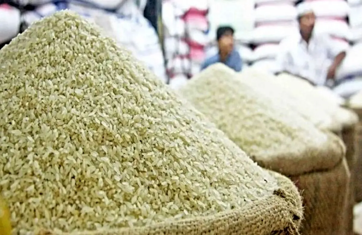 برنج تنظیم بازاری با قیمت باورنکردنی | اگر هنوز نخریدید دست نگه دارید