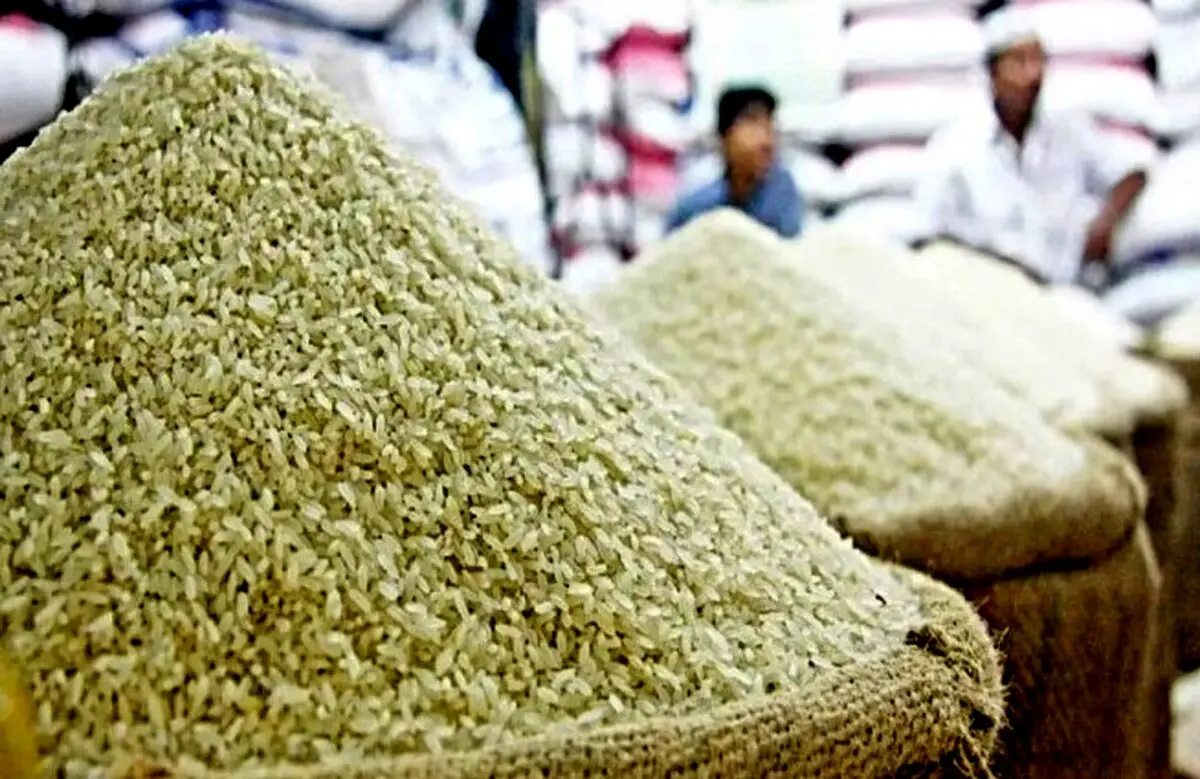 قیمت جدید برنج هندی و پاکستانی امروز ۲۰ بهمن | کیسه ۱۰ کیلویی برنج هندی چند ؟ + جدول