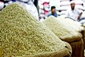 قیمت جدید برنج هندی و پاکستانی امروز ۲۰ بهمن | کیسه ۱۰ کیلویی برنج هندی چند ؟ + جدول