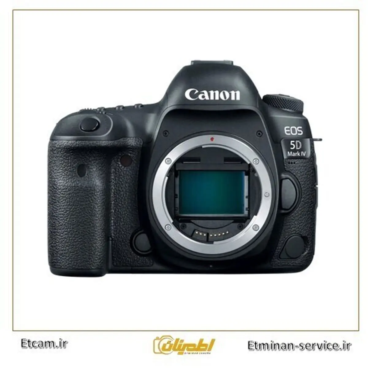 مقایسه تخصصی کانن Canon 6d mark II و Canon 5d mark IV + بررسی قیمت در نمایندگی رسمی کانن