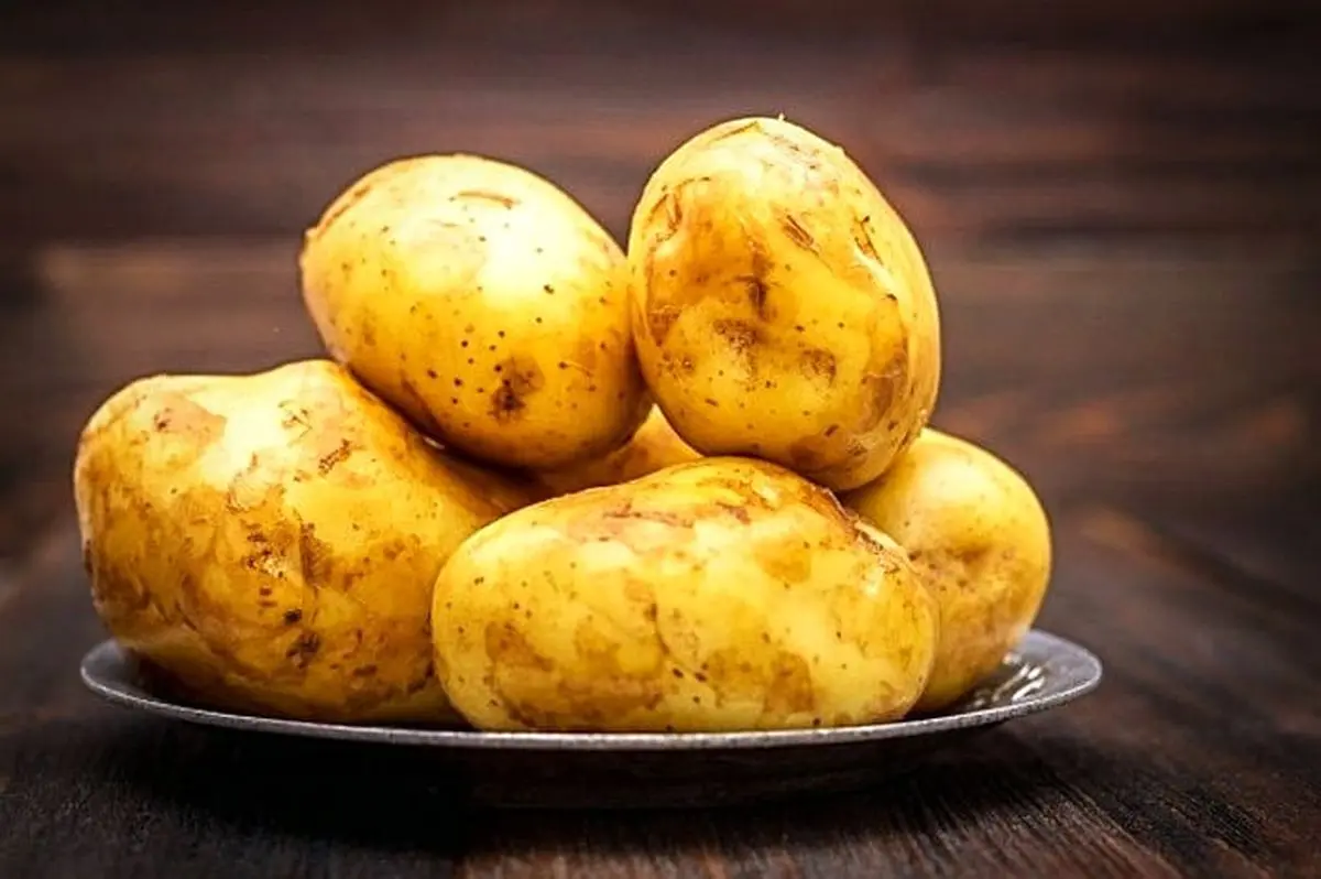 آسان ترین و ارزان ترین راه برای رهایی از سفیدی مو