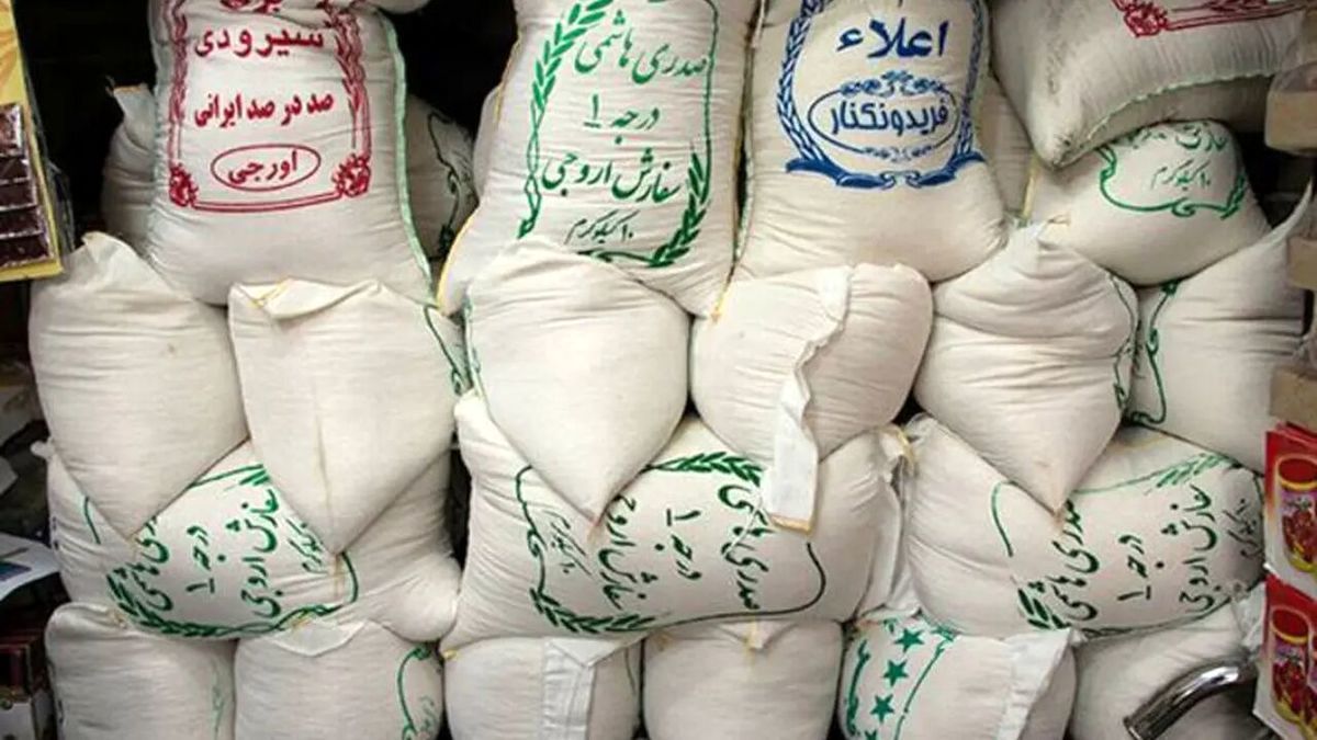 قیمت برنج ایرانی دوباره بالا رفت | ببینید کدام برند گرانترین است!