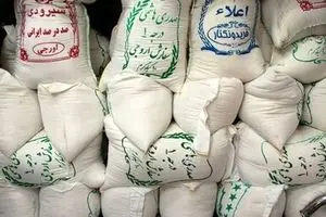 قیمت برنج ایرانی دوباره بالا رفت | ببینید کدام برند گران‌ترین است!