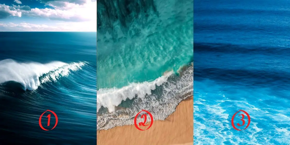  اقیانوس مورد علاقتو بگو تا بهت بگم تو رابطه عاشقانه چه رفتاری داری | تست شخصیت شناس