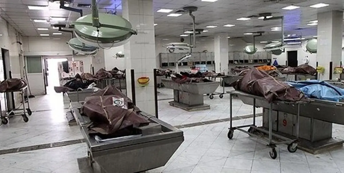  جسدهای اتاق تشریح دانشگاه فرانسه مورد حمله موش‌ها قرار گرفتند