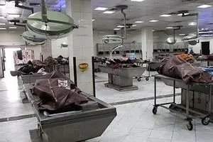  جسدهای اتاق تشریح دانشگاه فرانسه مورد حمله موش‌ها قرار گرفتند