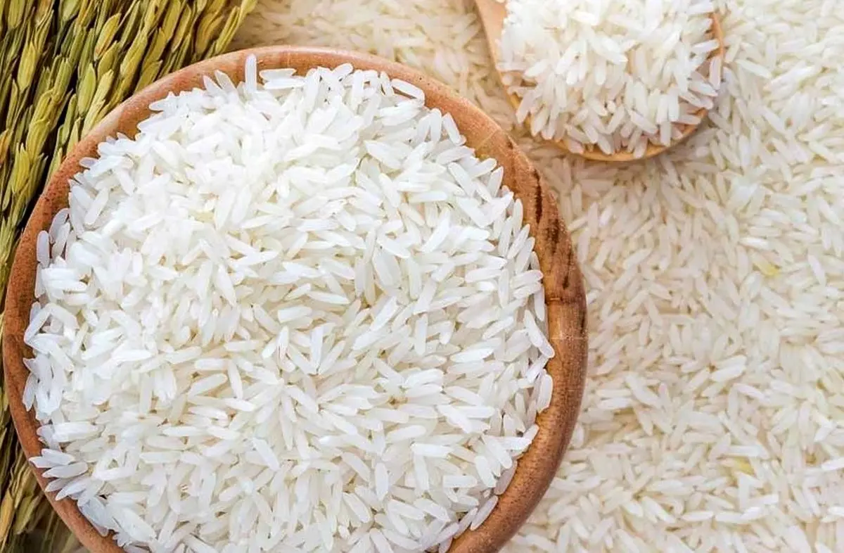 قیمت برنج ایرانی ۲۷ مهر ۱۴۰۴ | برنج هاشمی و صدری در صدر گرانی‌ها