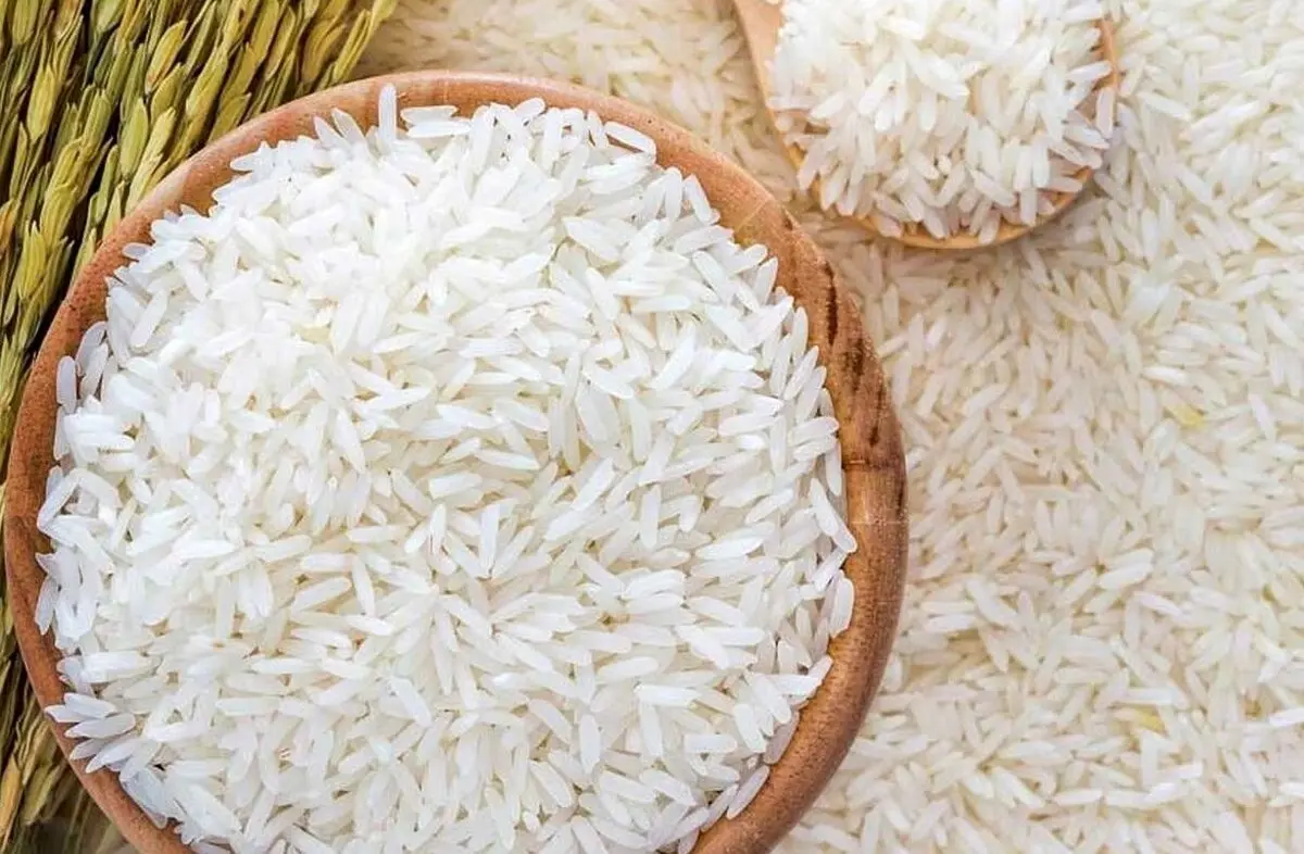 قیمت برنج ایرانی ۲۷ مهر ۱۴۰۴ | برنج هاشمی و صدری در صدر گرانی‌ها