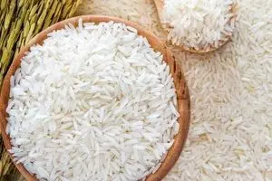 قیمت برنج ایرانی ۲۷ مهر ۱۴۰۴ | برنج هاشمی و صدری در صدر گرانی‌ها