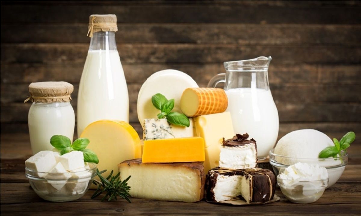 افزایش ۲۰ درصدی قیمت لبنیات