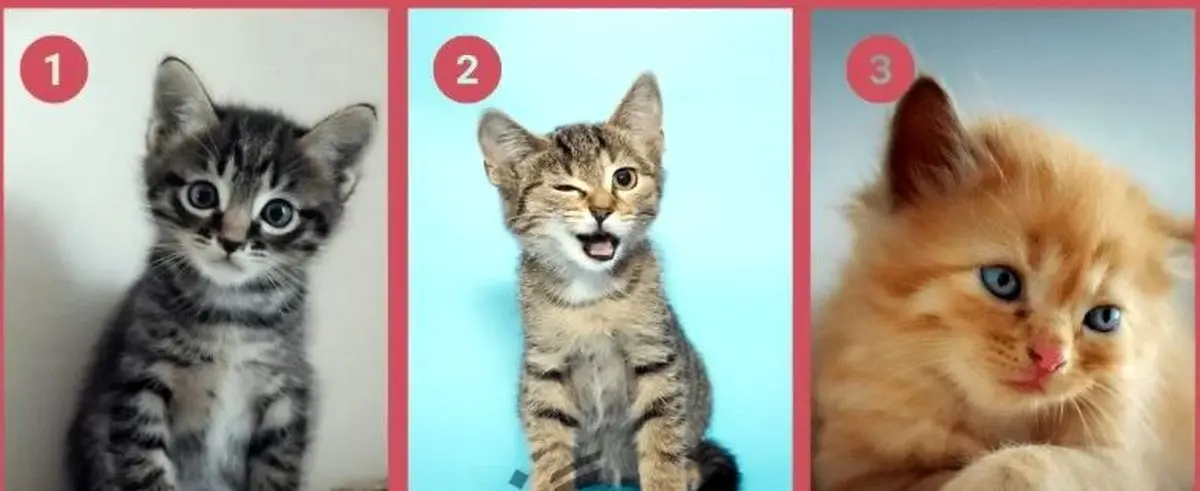 چقدر آدم قابل اعتمادی هستی ؟ | تست شخصیت شناسی