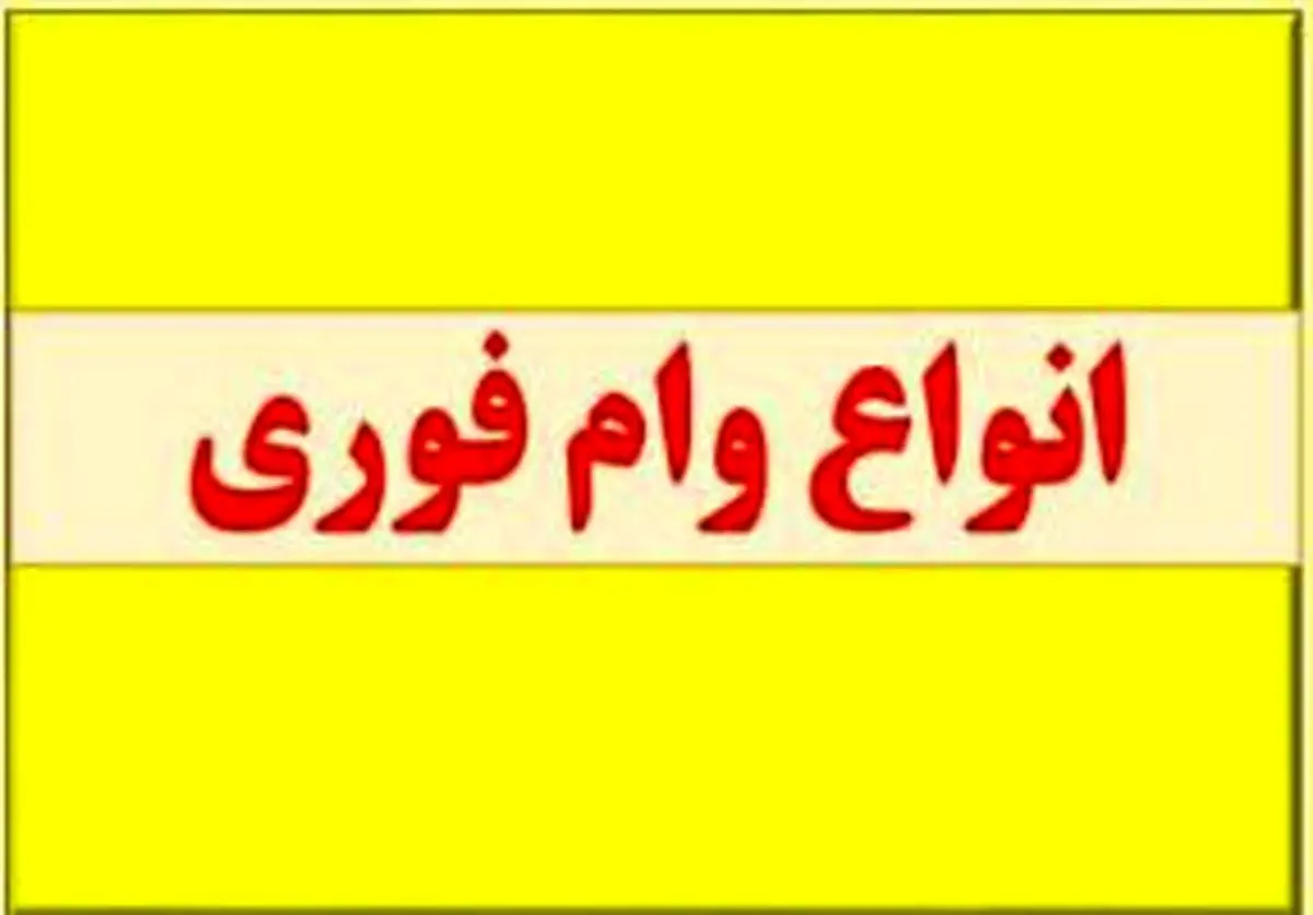 وام فوری بدون ضامن بگیرید | اعطای وام فوری با شرایط فوق العاده