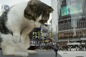 تبلیغات ژاپنی با گربه غول پیکر+ فیلم