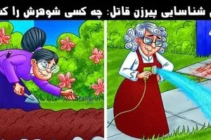 باهوش ها زودی بیان بگن پیرزن قاتل کدومه ؟ | تست هوش