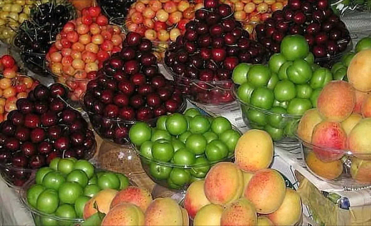 میوه های کم کالری و سرشار از فایده کدامند؟