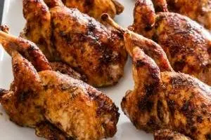 خواص بی نظیر و باورنکردنی گوشت این پرنده برای سلامت بدن و درمان بیماری ها