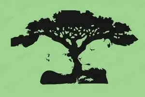 تست شخصیت شناسی : اولین چیزی که در تصویر می بینی رازهای پنهانت را برملا می کند !