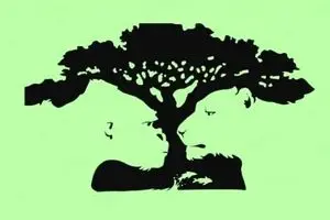 تست شخصیت شناسی : اولین چیزی که در تصویر می بینی رازهای پنهانت را برملا می کند !