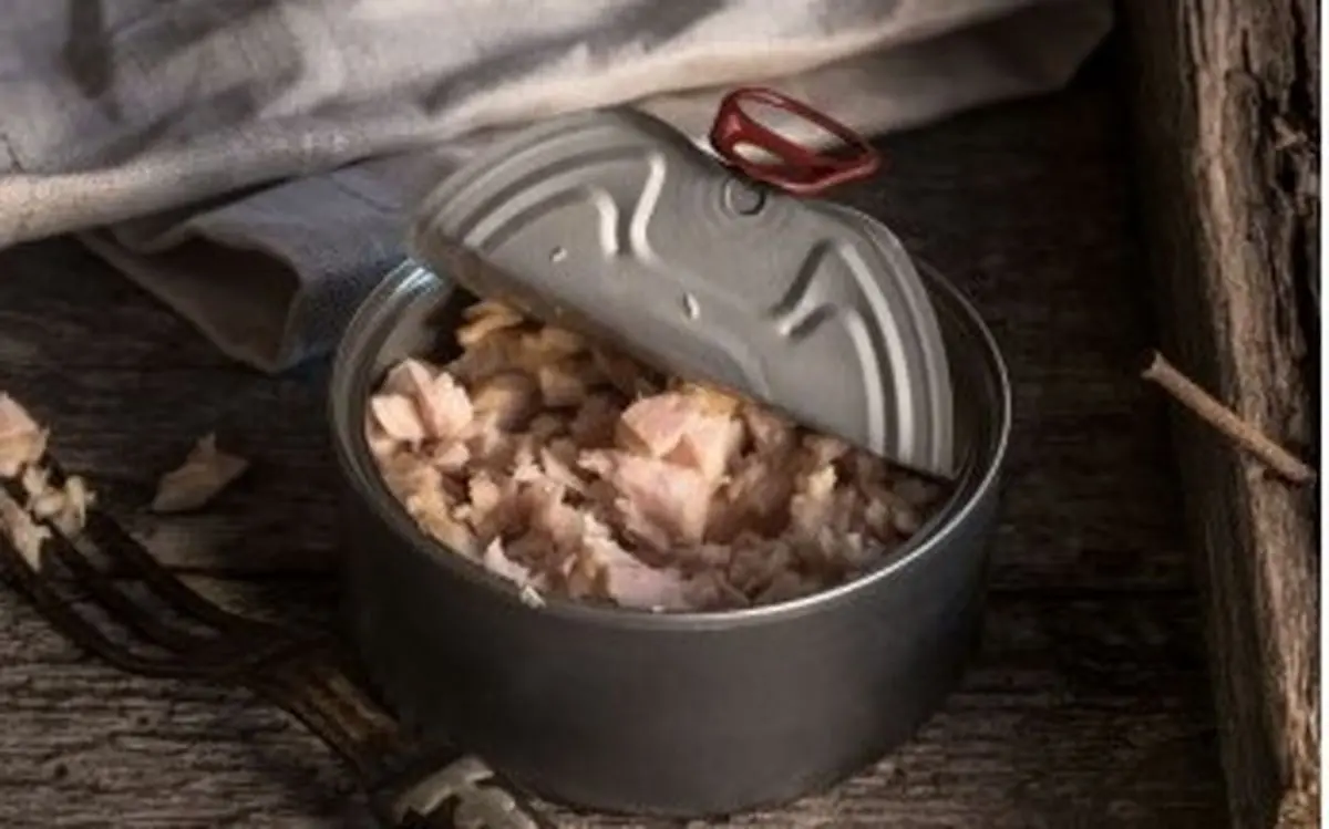 فلج و مرگ با تن ماهی؟ | این روش ساده توی 20 دقیقه امنش می‌کنه!