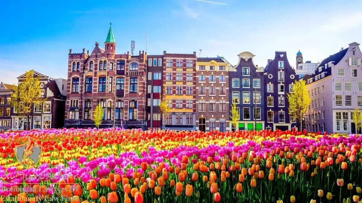 با مدارک لازم برای مهاجرت تحصیلی به هلند آشنا شوید