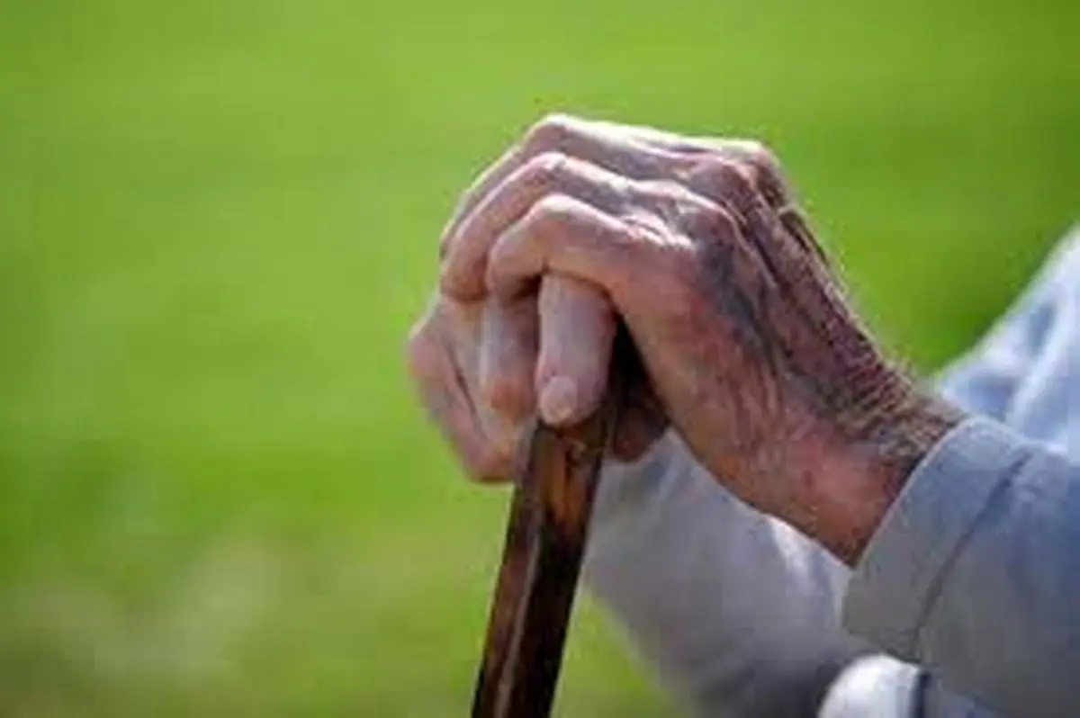 سالمندی، سونامیِ پیش روی کشور