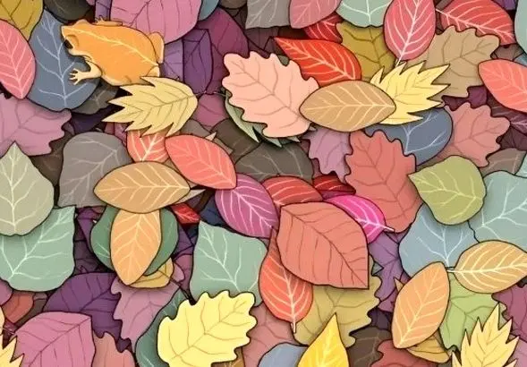 تست بینایی | قورباغه پنهان میان برگ ها را در 5 ثانیه پیدا کن