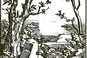 اگه بتونی خرگوش پنهان و تو 7 ثانیه پیدا کنی هیچوقت آلزایمر | تست هوش